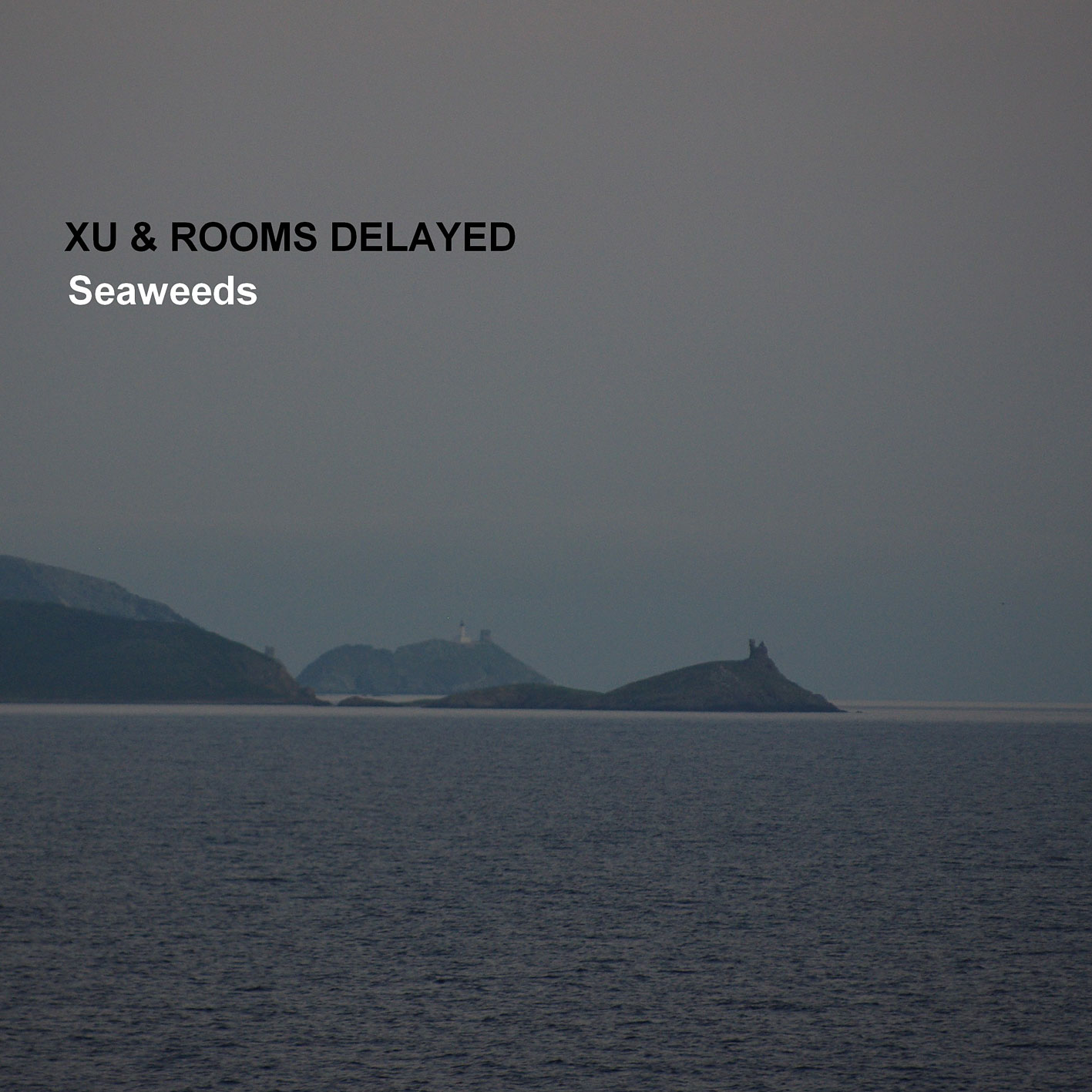 xu & rooms delayed - seaweeds - cover